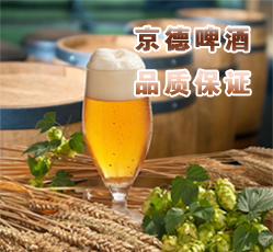 南阳市京德啤酒技术开发有限公司